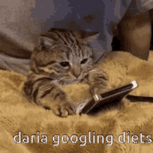 Daria Googling Cat GIF - Daria Googling Cat Phone GIFs