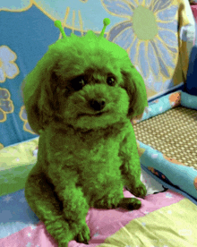 a small brown dog with green hair and green antennas on its head