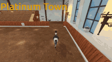 Star Stable Dressage GIF