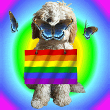 Gay Puppy Lgbt GIF