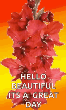Great Day Hello Beautiful GIF - Great Day Hello Beautiful Sparkles GIFs