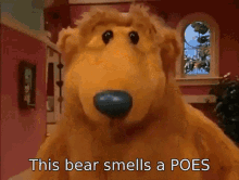 Poes Bear GIF - Poes Bear Smells GIFs