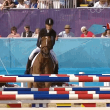 jumping horse adrienne toth jumping over obstacle racing riding horse