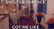 Shelter In Place Home Alone GIF - Shelter In Place Home Alone Going Crazy GIFs