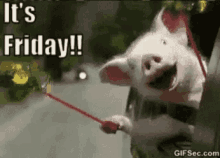 Weeee Pig GIF - Weeee Pig Its Friday GIFs