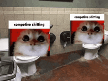 Competitive Shitting Cats GIF - Competitive Shitting Cats Two Cats GIFs