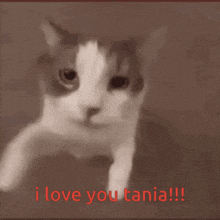 Awesome Tania GIF - Awesome Tania GIFs