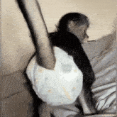 a baby monkey is wearing a diaper and laying on a bed