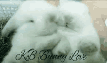 Love Kb Bunnies GIF - Love Kb Bunnies Kb Love GIFs