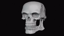Skull Bone GIF - Skull Bone Troll GIFs