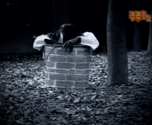Monkey The Ring Monkey GIF - Monkey The Ring Monkey The Ring GIFs