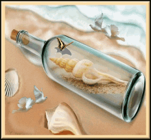 bottle butterfly beach ocean shell
