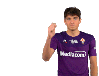 Acf Fiorentina Fiorentina Sticker - Acf Fiorentina Fiorentina Viola Stickers