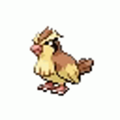 Pidgey Sticker - Pidgey - Discover & Share GIFs