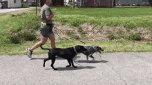 Running Dogs GIF - Running Dogs Jogging GIFs