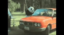 Panda Bad GIF - Panda Bad Angry GIFs