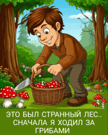 a cartoon illustration of a boy picking mushrooms in a forest