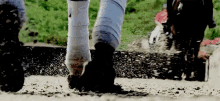 Dressagehorse Feet GIF - Dressagehorse Feet Hooves GIFs