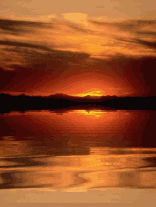 River Red GIF - River Red Nature GIFs