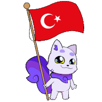 a cartoon cat is holding a red flag with a crescent moon and star