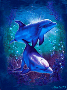 Dolphin Cute GIF - Dolphin Cute Underwater GIFs