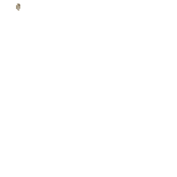 a white background with gold letters that say regaip kandiliniz mubarek olsun