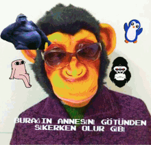 a monkey wearing sunglasses is surrounded by other monkeys