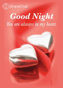 Good Night You Are Always In My Heart GIF - Good Night You Are Always In My Heart गुडनाइट GIFs