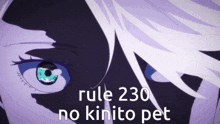 Rule 230 Kinitopet GIF - Rule 230 Rule 230 GIFs