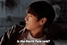a young man is talking about the north pole .