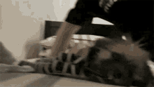 a cat is laying on a bed with a person standing behind it and a sign that says " i love you "