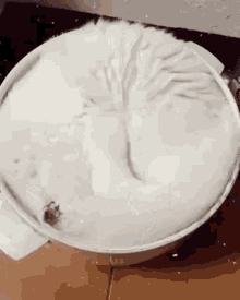 Ice Cream Cat GIF - Ice Cream Cat Cute GIFs