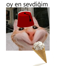 Kedi Dondurma GIF - Kedi Dondurma GIFs