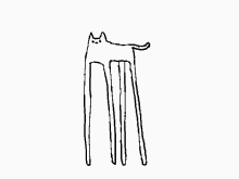 Cat Kitty GIF - Cat Kitty Long Legs GIFs