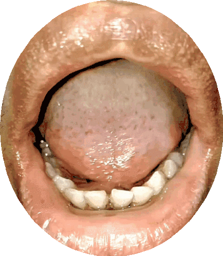Tongue Ululating Sticker - Tongue Ululating Ululate Stickers