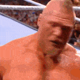 Roman Reigns Brock Lesnar GIF - Roman Reigns Brock Lesnar Summerslam GIFs
