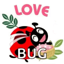 Ladybug Love GIF - Ladybug Love GIFs