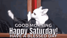 Funny Animals Happy Saturday GIF - Funny Animals Happy Saturday Dog GIFs
