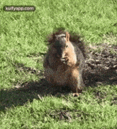 When I Got Food Before Then My Brother.Gif GIF