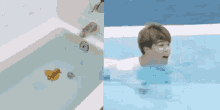 Hseokzip Jimin Duck Swimming Meme Tiny GIF - Hseokzip Jimin Duck Swimming Meme Tiny GIFs