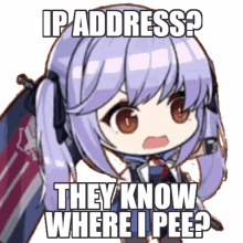 ip address ip address they know where i pee essex