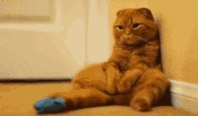 Sad Cat Come Home GIF - I Miss You Cat Kitty GIFs