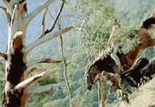 Kirk Douglas The Man From Snowy River GIF - Kirk Douglas The Man From Snowy River GIFs