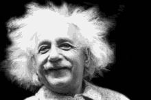 Einstein Windy GIF - Einstein Windy GIFs
