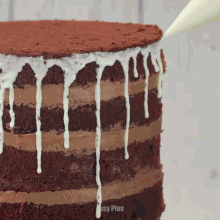 a chocolate cake is being decorated with white frosting and the words easy plus on the bottom right