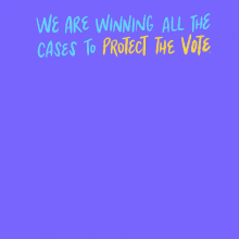 We Are Winning All The Cases Protect The Vote GIF