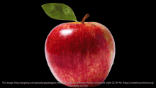 Omg Apple GIF - Omg Apple GIFs