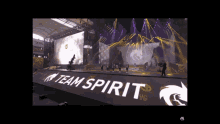 Team Spirit GIF - Team Spirit GIFs