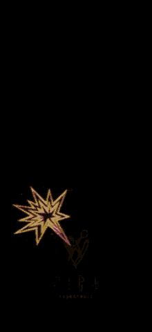 a black background with a pink and yellow star and the word sara