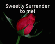 Sweetly Surrender To Me GIF - Sweetly Surrender To Me GIFs